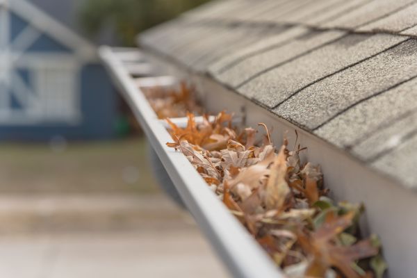 Leaf Barrier Installation in Naples