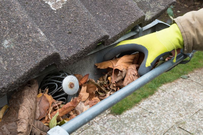 Cleaning Gutter Covers in Late Summer